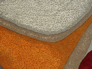 carpet 3D Model