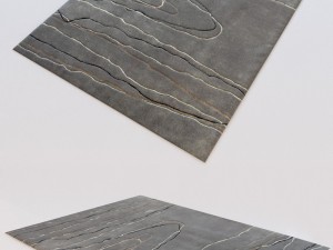 carpet grey 3Dモデル