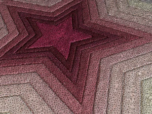 carpet star 3D Model