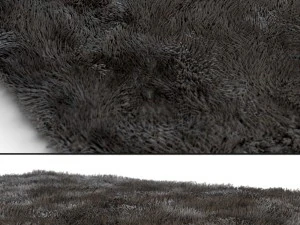 carpet1 3D Model