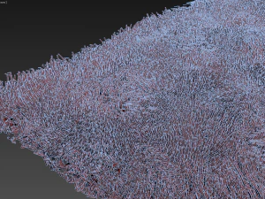 carpet1 3D Model