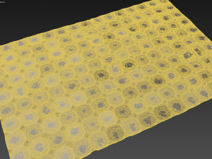 carpet Modelo 3D