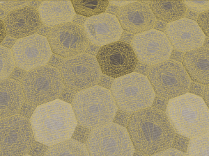 carpet Modelo 3D