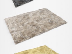 carpet 3D 모델