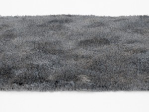 carpet 3D Модель