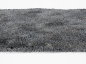 carpet 3D Model