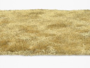 carpet 3D Модель
