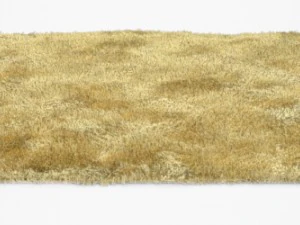 carpet 3D Model