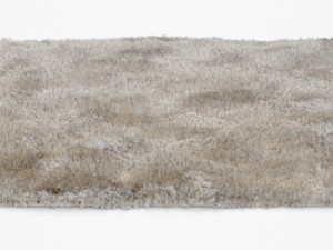carpet 3D Модель