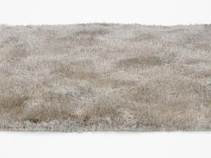 carpet 3D Model