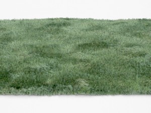 carpet 3D Модель