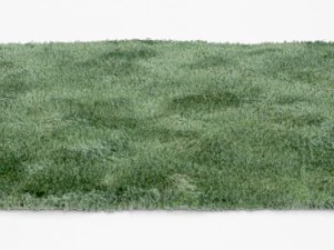 carpet 3D Model