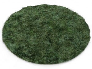 round carpet 3D 모델