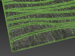 carpet 3D Model