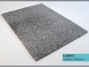 carpet 3D Model