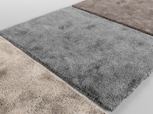 carpet 3D Model