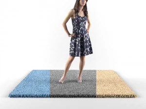 carpets 3D Model
