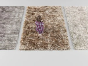 3 carpets 3D Model