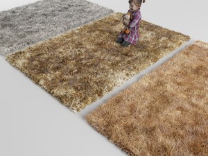 carpet 3D Model