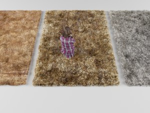 carpet 3D Model