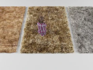 carpet 3D Model