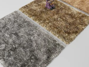 carpet 3D Model
