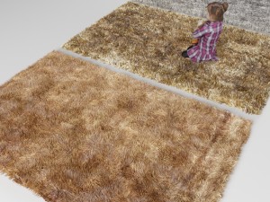 carpet 3D Model