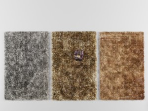 carpet 3D Model
