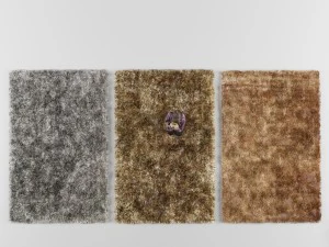 carpet 3D Model