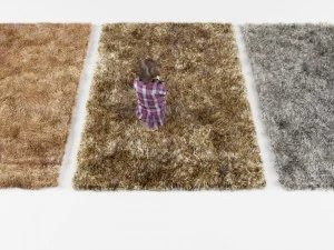 carpet 3D Model