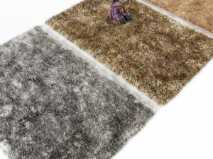carpet 3D Model
