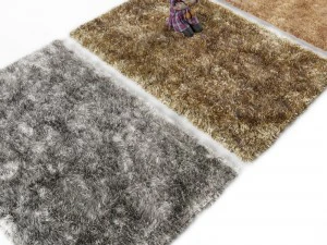 carpet 3D Model