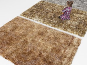 carpet 3D Model