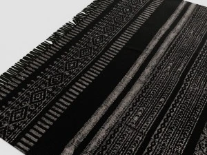 carpet house doctor 3D Model