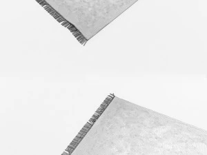 carpet house doctor 3D Model