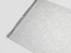 carpet house doctor 3D Model