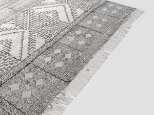 carpet house doctor ad0335 3D 모델