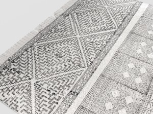 carpet house doctor ad0335 3D 모델