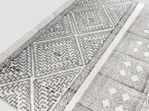 carpet house doctor ad0335 3D Model