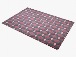 carpetscellora 3D Model