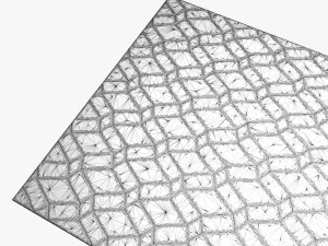carpetscellora 3D Model