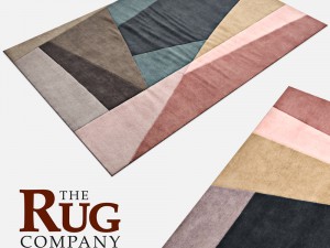 carpetsplit bright paul smith 3D Model