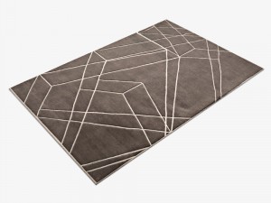 carpetccquantum 3D Model