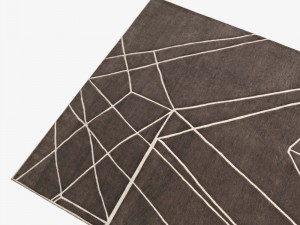carpetccquantum 3D Model