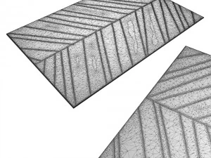 carpetccquantumf 3D Model