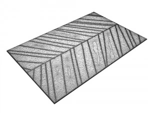 carpetccquantumf 3D Model