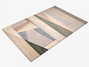 carpetdcpssplitlightlarge 3D Model