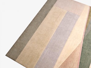 carpetdcpssplitlightlarge 3D Model