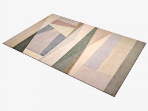 carpetdcpssplitlightlarge 3D Model