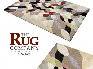 carpetfiona-curran-pallette-rug Model 3D